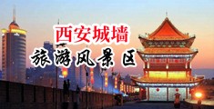 小骚逼想大鸡巴的视频中国陕西-西安城墙旅游风景区